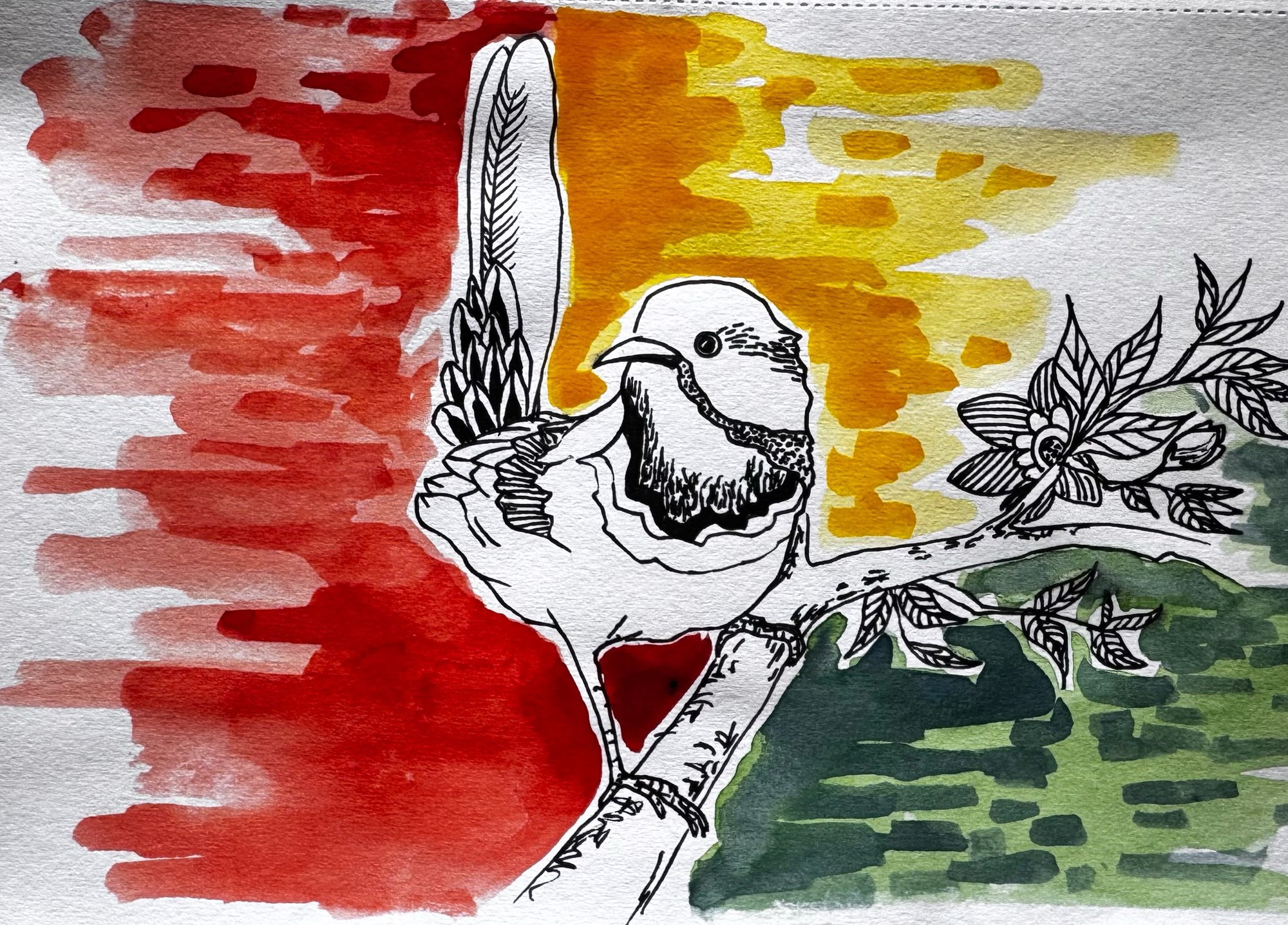 Ink-drawn bird perched on a branch over red, ochre and green washes.