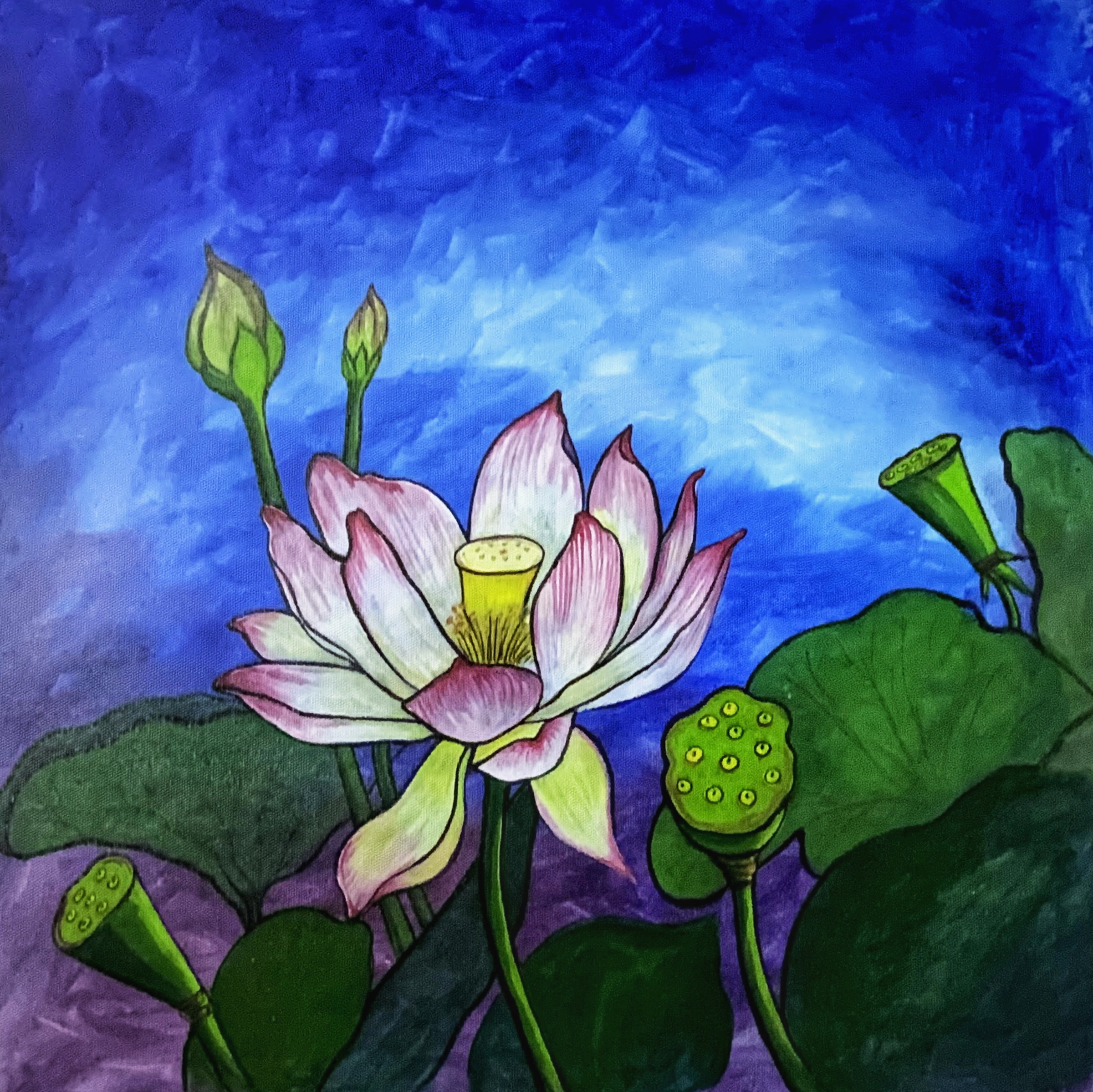 Pink lotus flowers and seed pods rising above broad green leaves under a blue sky.